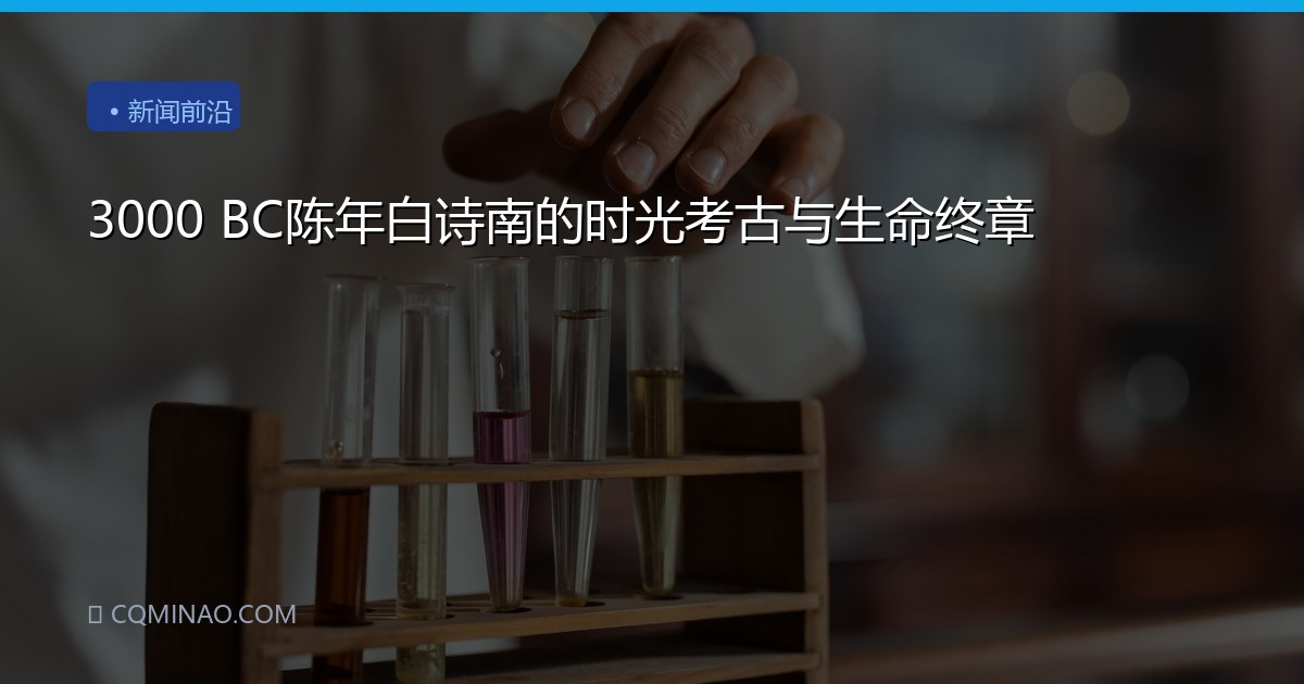 3000 BC陈年白诗南的时光考古与生命终章